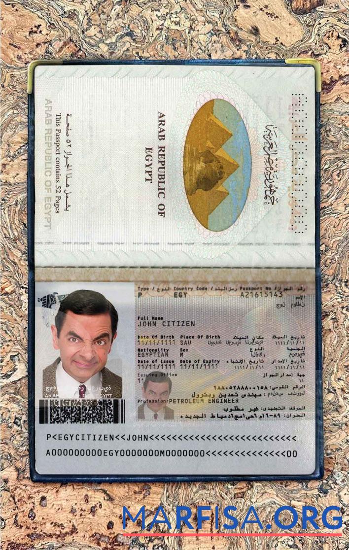 Realistic Egypt passport photo look real example